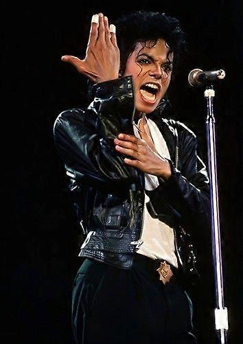 MICHAEL JACKSON Stress-Relieving Puzzle BD-4373