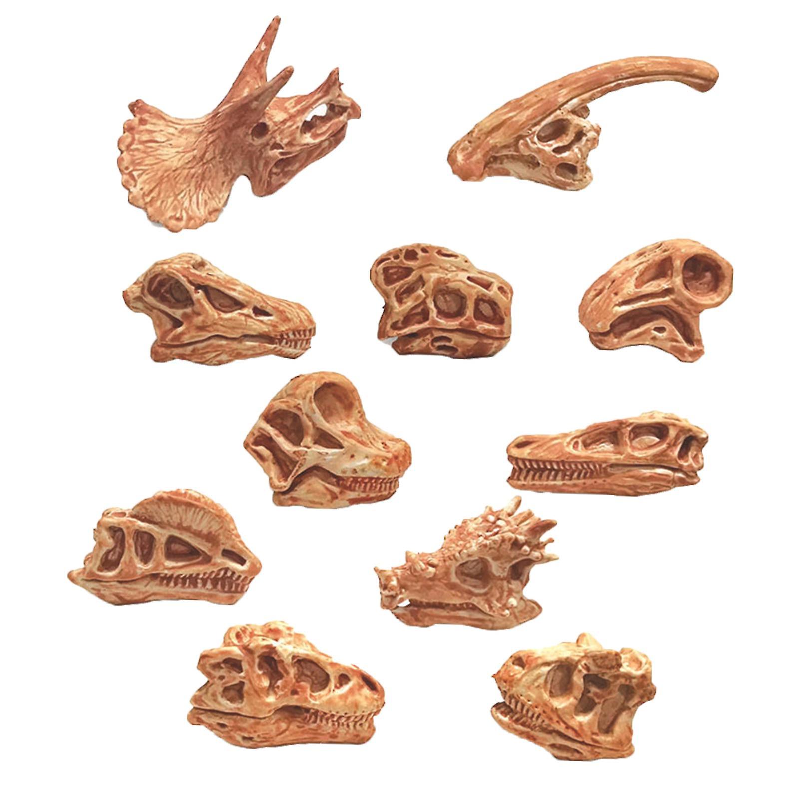 10pcs Vivid Dinosaur Skull Model Office Decor Hand-painted Bookshelf Display Home Office Decor Desktop Shelf