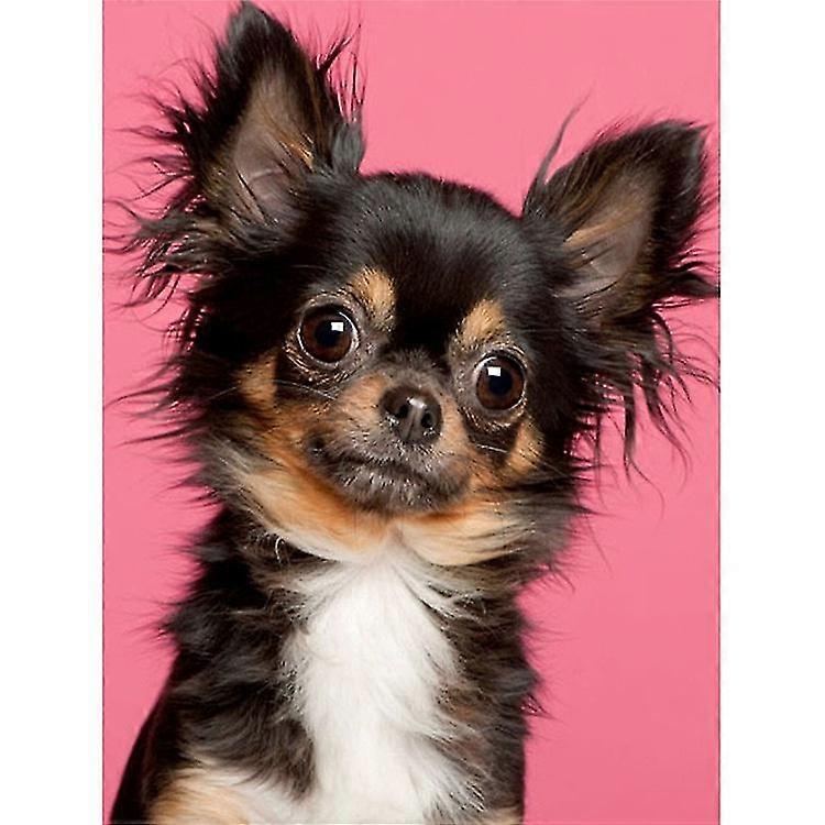 الحيوانات الأليفة الكلب 5D الماس اللوحة دي تشيهواهوا الحيوان الحفر الكامل الماس الفن الفسيفساء اللوحة التطريز اليدوية هدية غرفة ديكور