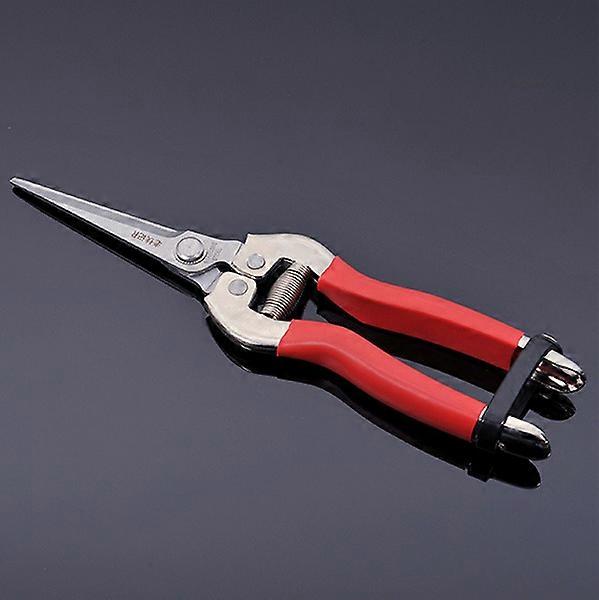ZK-Gardening pruning fruit tree pruning flower branch scissors hand tools