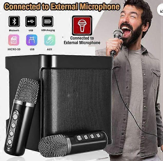 Bluetooth Karaoke Machine Draagbare Karaoke Luidspreker Met 2 Draadloze Microfoons
