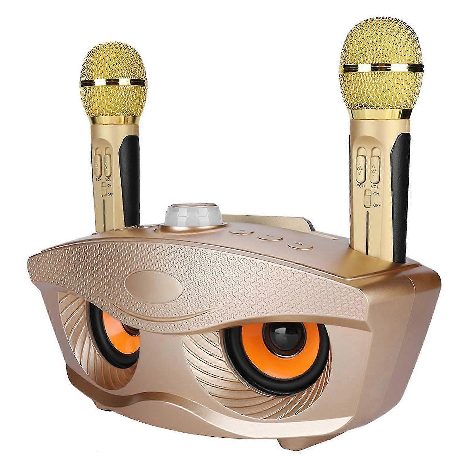 Bluetooth Speaker Home Ktv Karaoke Bluetooth Speaker With Two Microphone (gold)