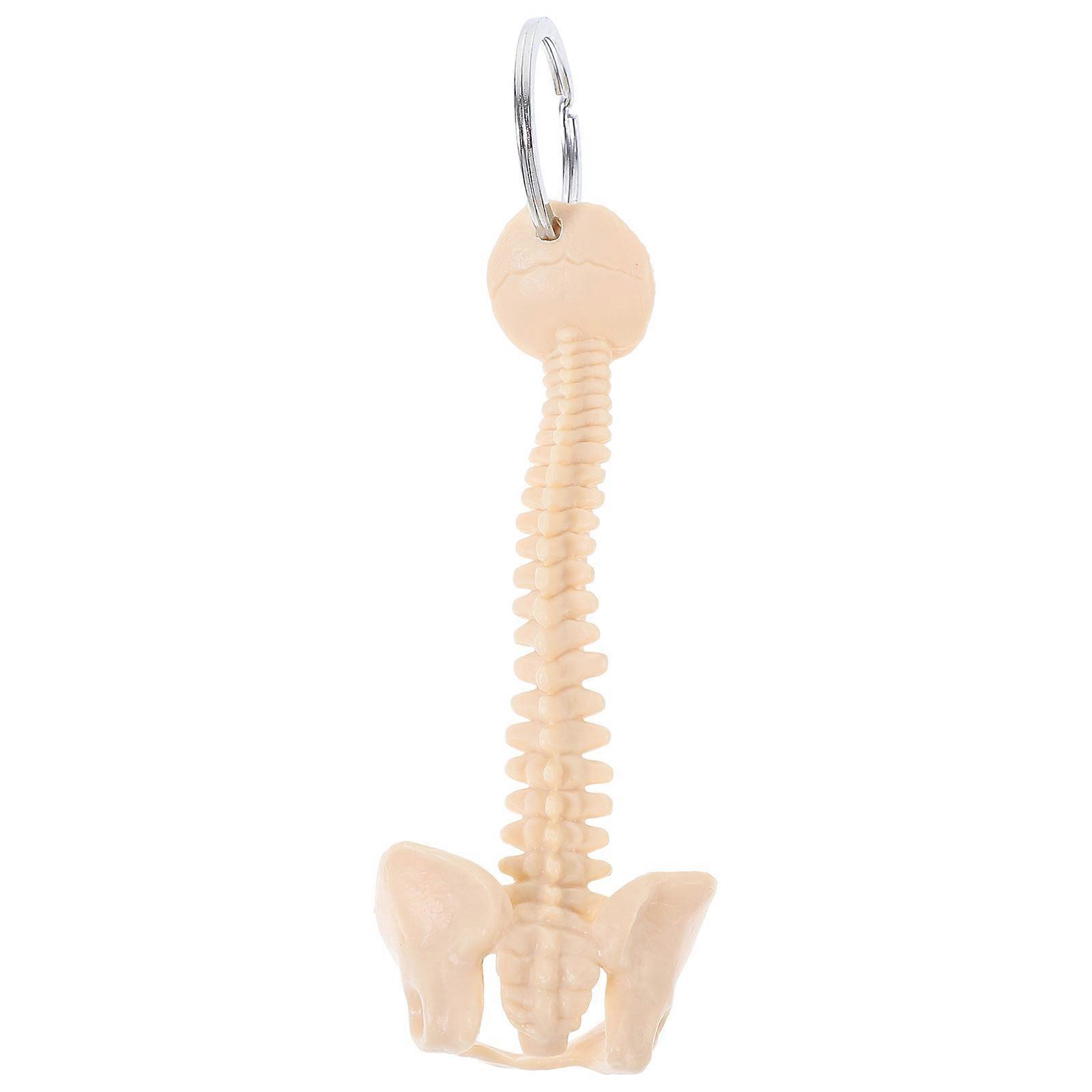 Teaching Aid Spine Model Keychain 5Pcs Beige PVC Pendant Classroom Tools