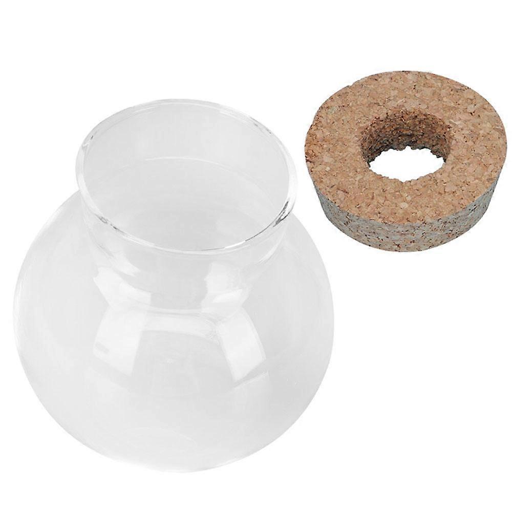 Micro Landscape Planter Bottle Compact Ecological Bottle Shape Bedroom Tabletop Decor 1Pcs