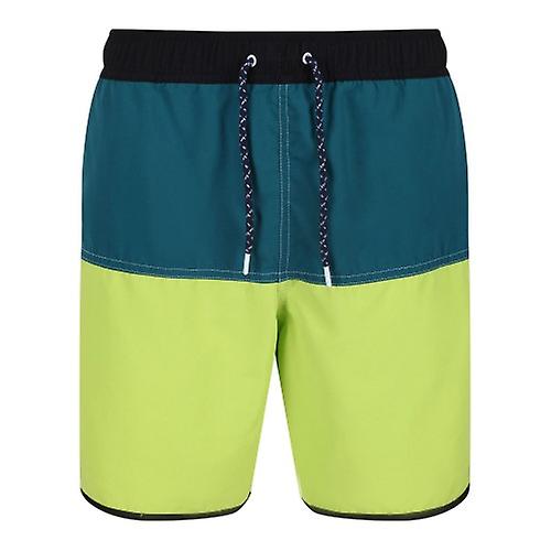 Regatta Mens Benicio Swim Shorts