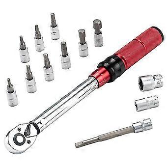 ROCKBROS 72 Tooth Torque Ratchet Wrench 2-24Nm Bike Repair Kit