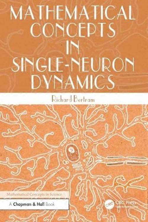Matematiska begrepp inom enneurondynamik