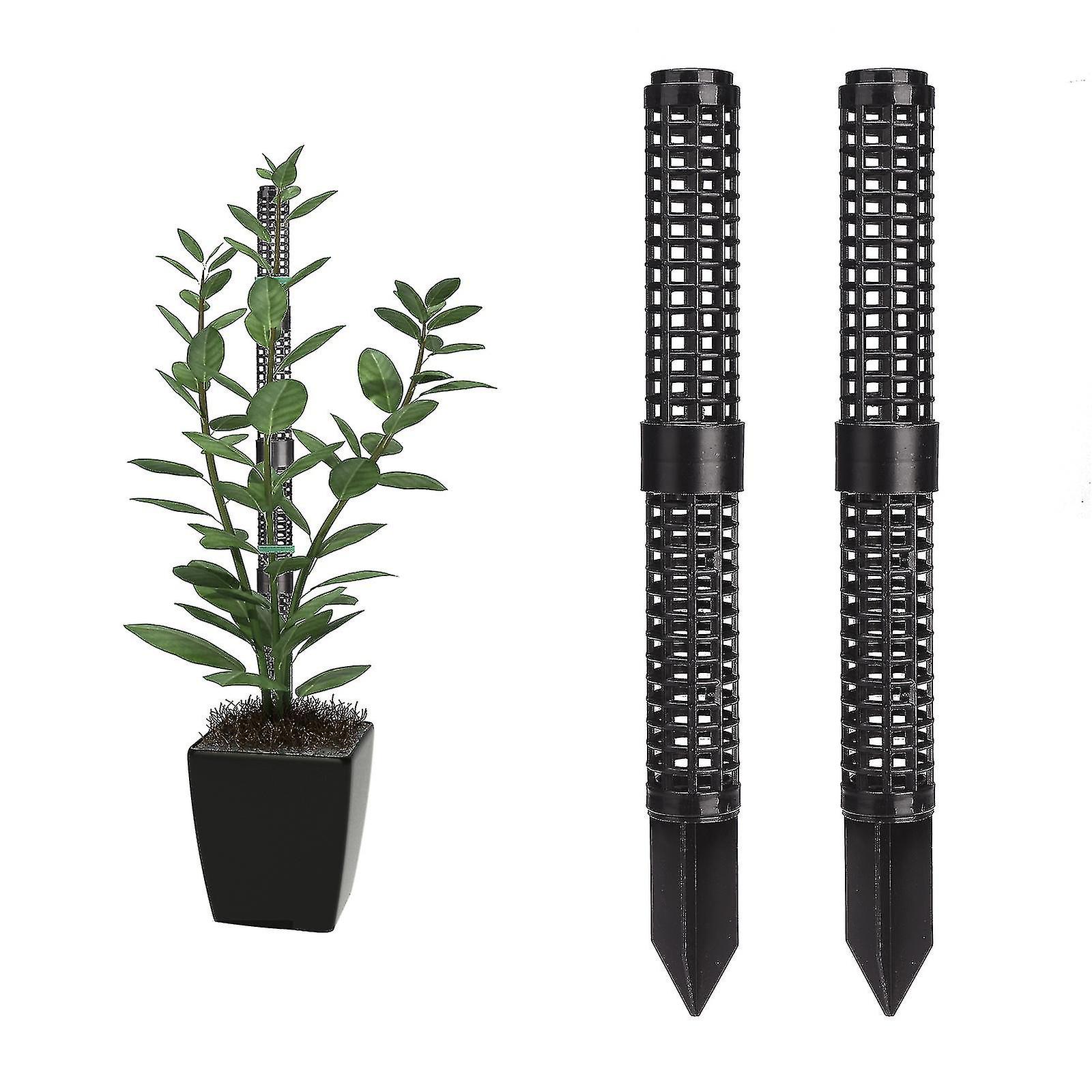 植物の杭のために植物を登るための8pcs/setの苔の棒および植物を支える