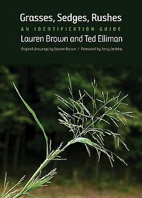 Grasses Sedges Rushes - An Identification Guide
