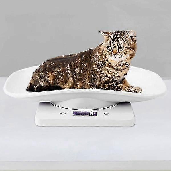 משקל דיגיטלי של 10 ק"ג/1 גרם Small Pet למדידה מדויקת