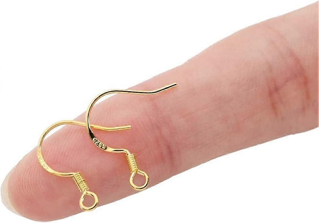 Durable and Useful50 Pieces/25 Pairs Earring Hooks