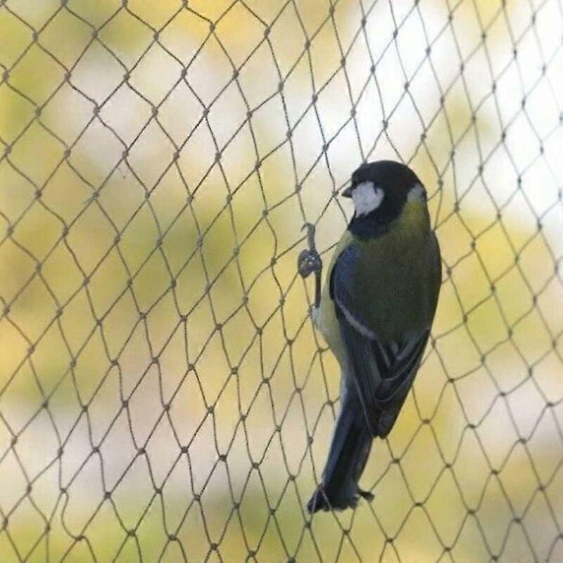 Bird net, 10 x 6 m wide, bird net, strong garden pond protection net, for fruit, vegetables--