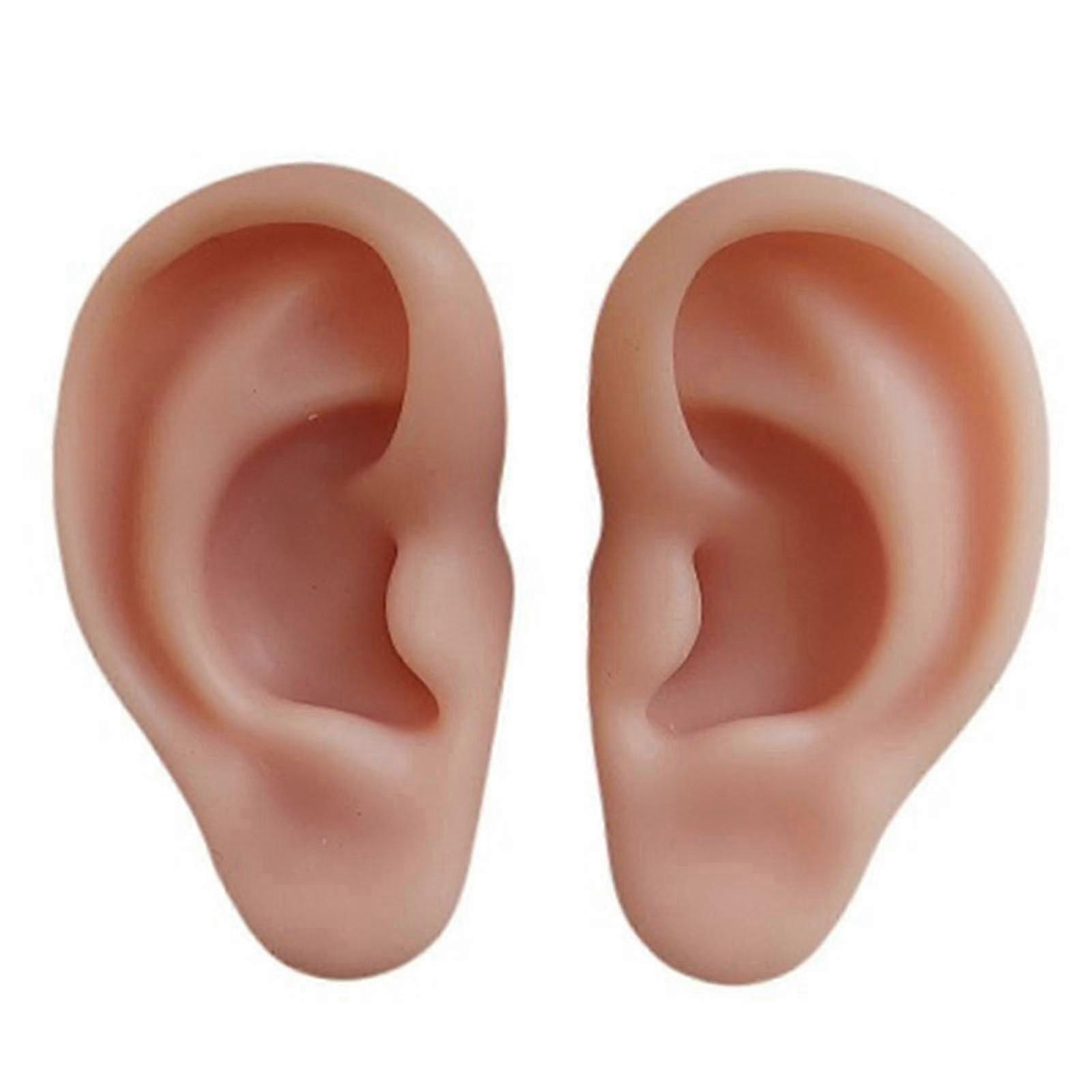 Soft Silicone! Ear Model, 1:1 Ear Highly Simulated For Practicing Demonstration Teaching Prop Suturing Tool