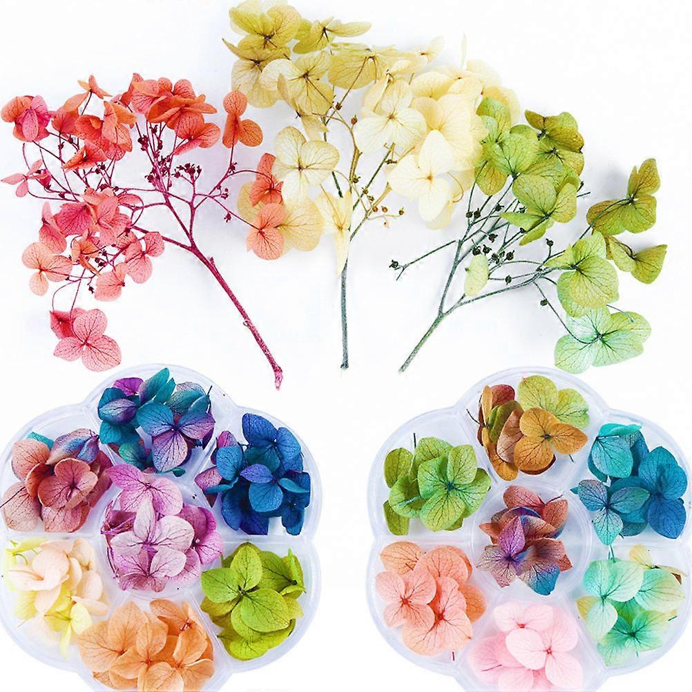 Nail Art Accessories with Dried Flower Designs for Unique Manicure Decoration Easy to Apply