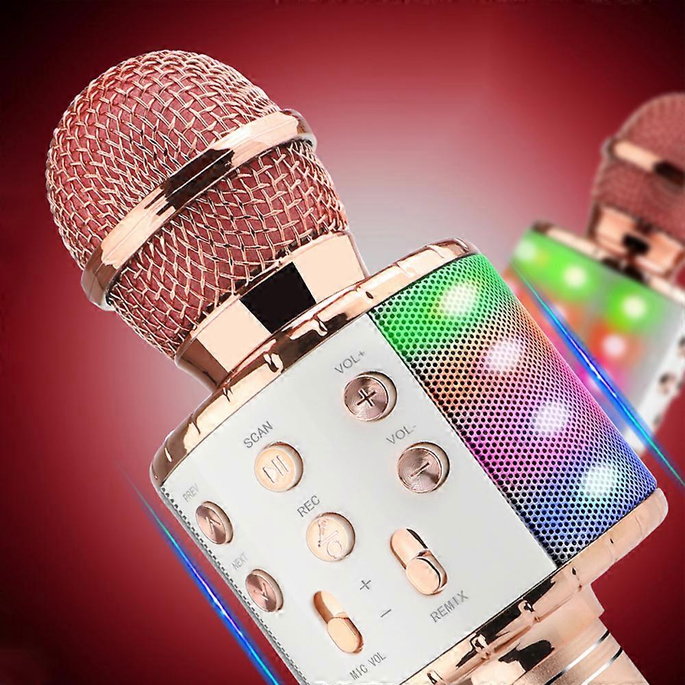 Portable Wireless BT Microphone Speaker 5W 1200mAh 245x91x82mm