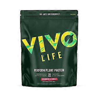 Vivo Life Perform Plant Protein Strawberry & Vanilla 988g - 3 Pack