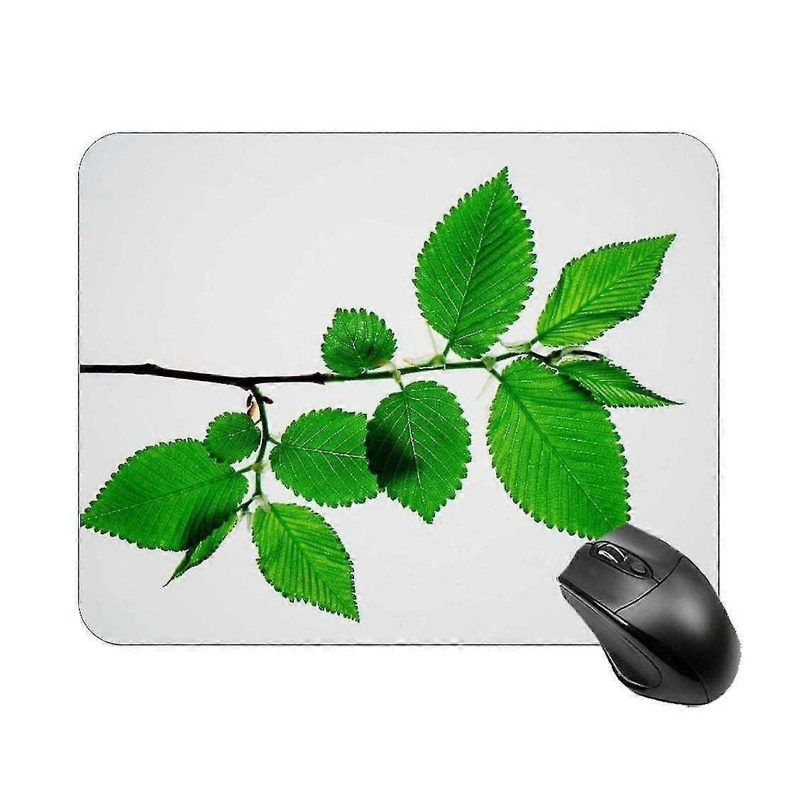 Beech Printed Notebook Mouse Sheets