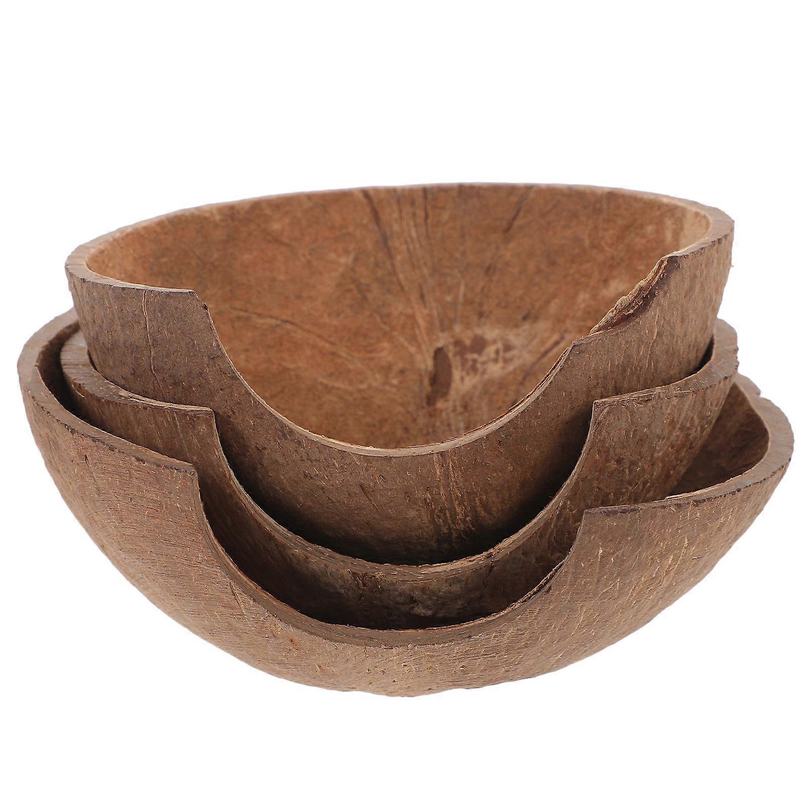 Decorative Reptile Hideout Reptile Shelter for 9Pcs Wear-Resistant Use