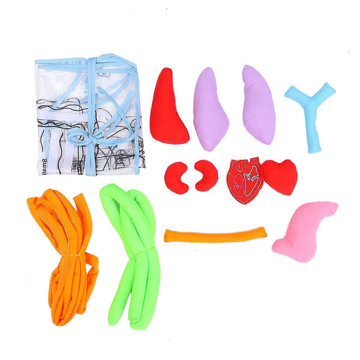 Educational Human Organs Apron for Teaching Kindergarten Anatomy Learning Aid