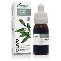 Olive Extract (XXI Formula) 50 ml