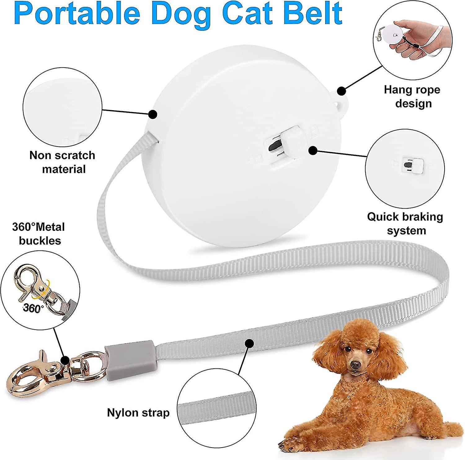 Automatic Retractable Dog Leash For Small Dogs Cats, Pet Outdoor ... - Fijanka Smooth Walking Leash Retractable Dog
