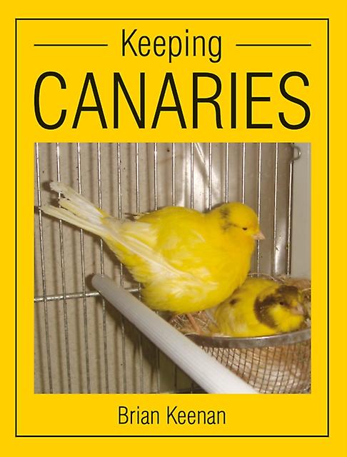 Keeping Canaries by Brian Keenan Paperback Book