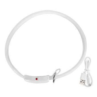 LED Collare Per Cani USB Ricaricabile Colore Dinamico Della Luce Regolabile Anello Del Collo Dell'animale Domestico Impermeabile