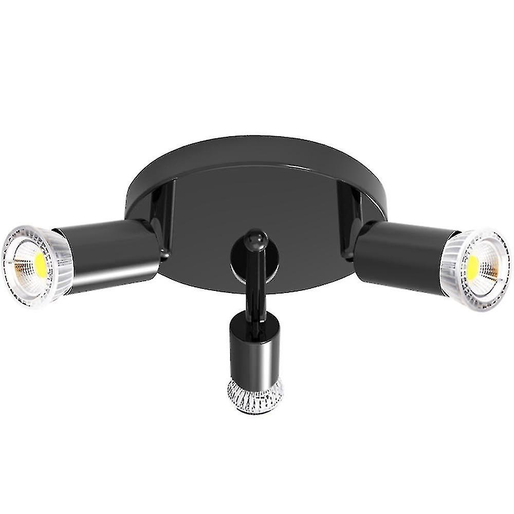 Up and down iron ceiling lamp