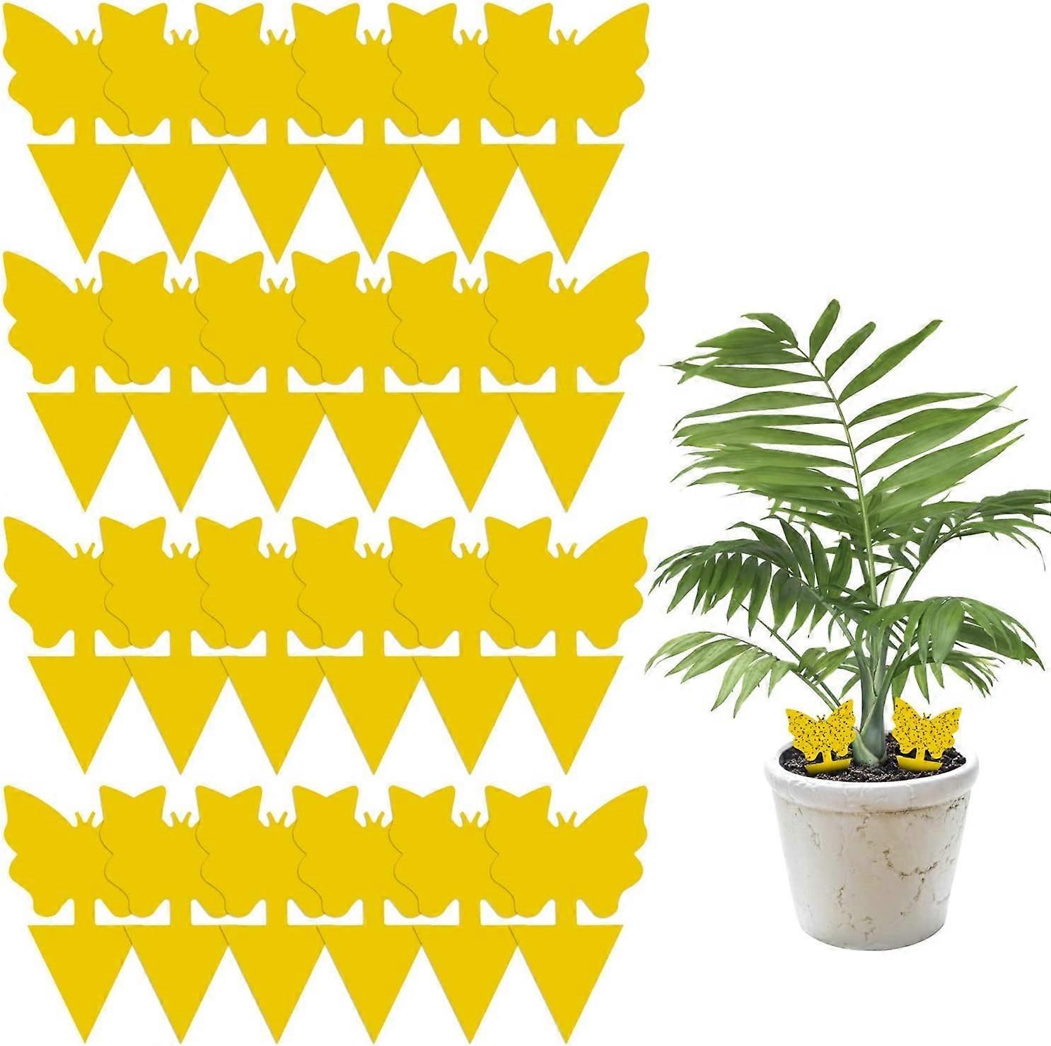 Sunrain 24 Pack Sticky Fruit Fly and Fungus Gnat Trap Yellow Sticky Bug Insect Killer συμβατό με