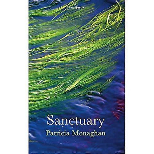 Sanctuary (Salmon Poetry)