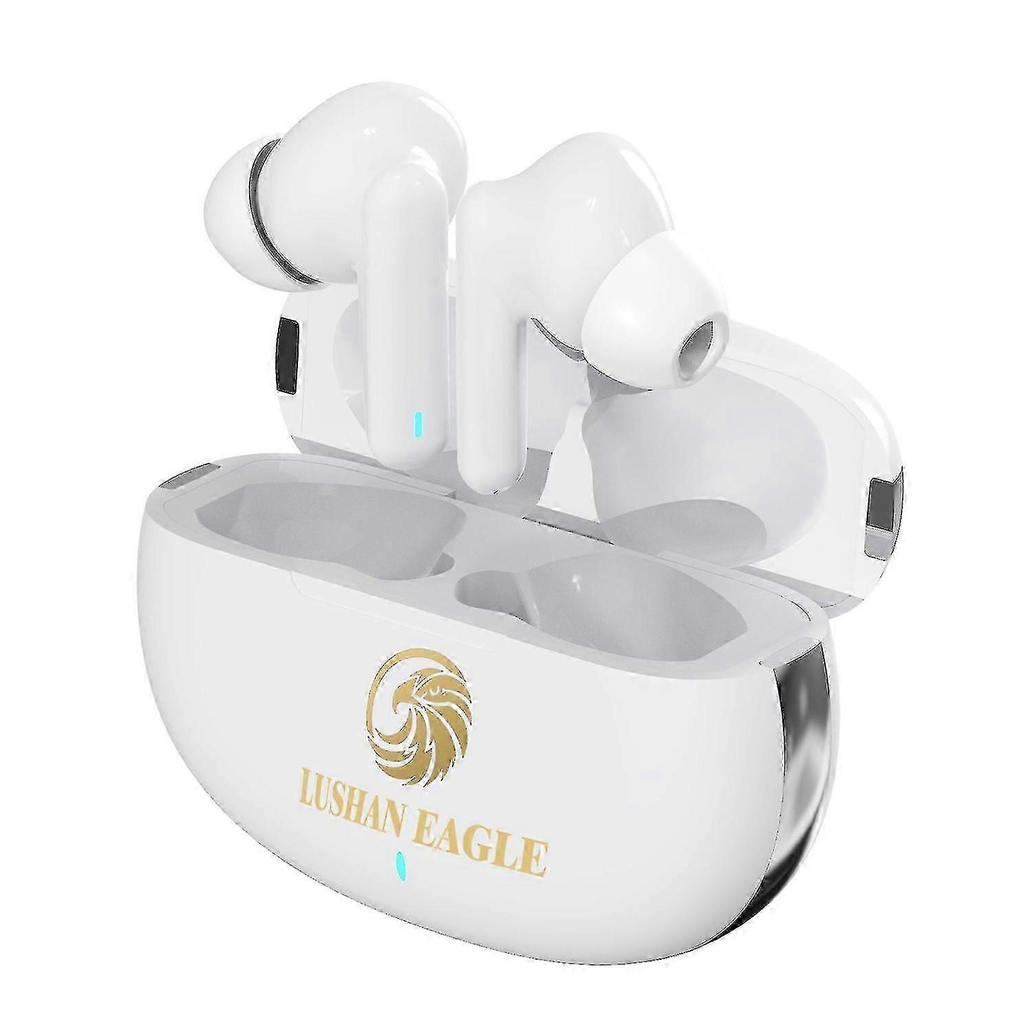 Mini  Hearing Aid Digital Chip In-Ear Hidden Internal Amplifier Rechargeable Hearing Amplifiers