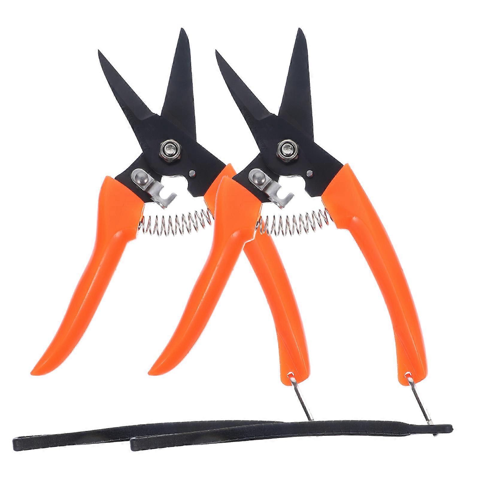 Hoof Maintenance Shears, Built for Precision and Durability in Trimming