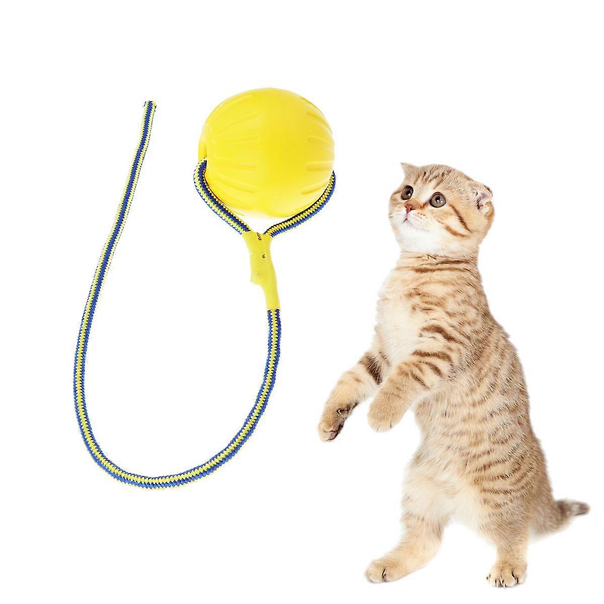 EVA Dog Ball Launcher for Pet Training and Exercising Durable Hollow Toy Suitable for Medium to