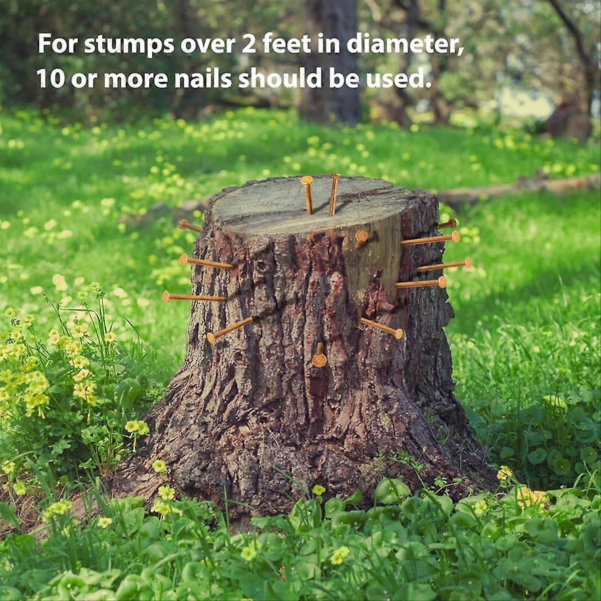 25Pcs Copper Nails,3.14 In Long Pure Copper Nails Bulk with Drill Bit