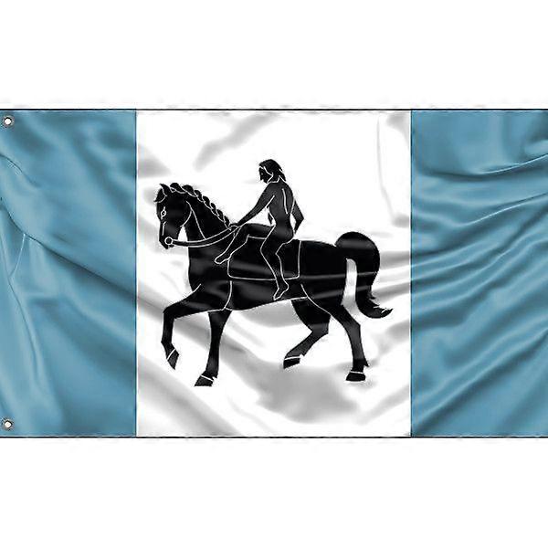 Stadtflagge von Coventry L0280