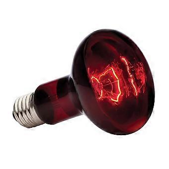 Krybdyrbelysning Infrarød solfangelampe 150W,