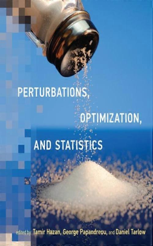 Perturbations Optimization And Statistics