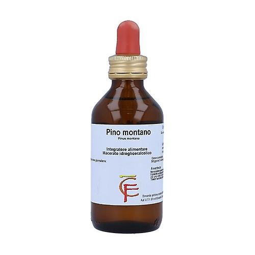 Montano Pine Gems Mg 100 ml