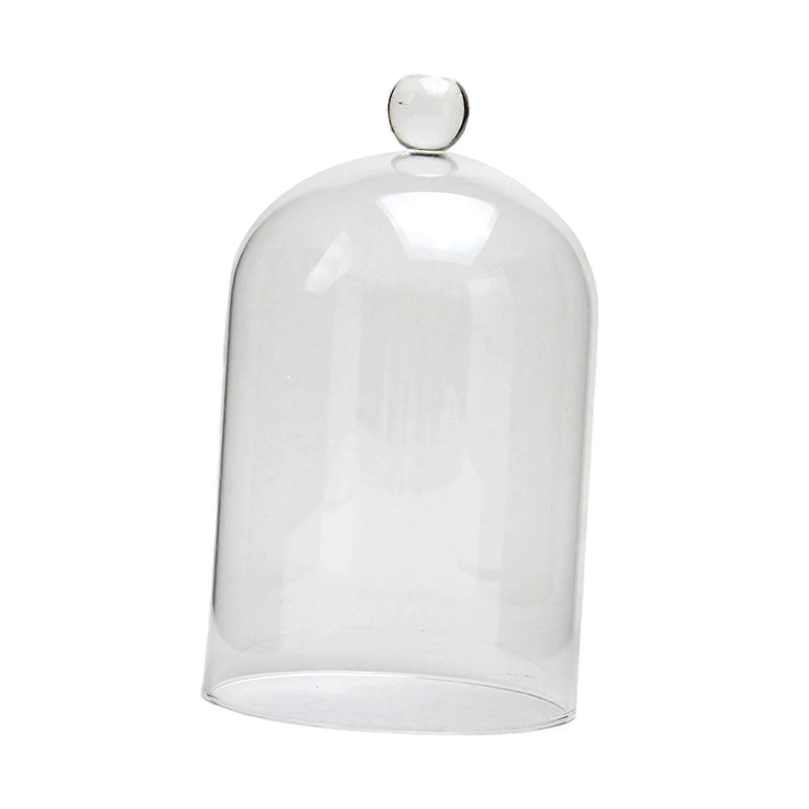 Glasskydd med konserverade blommor, elegant för jul, vardagsrum, årsdagar, M