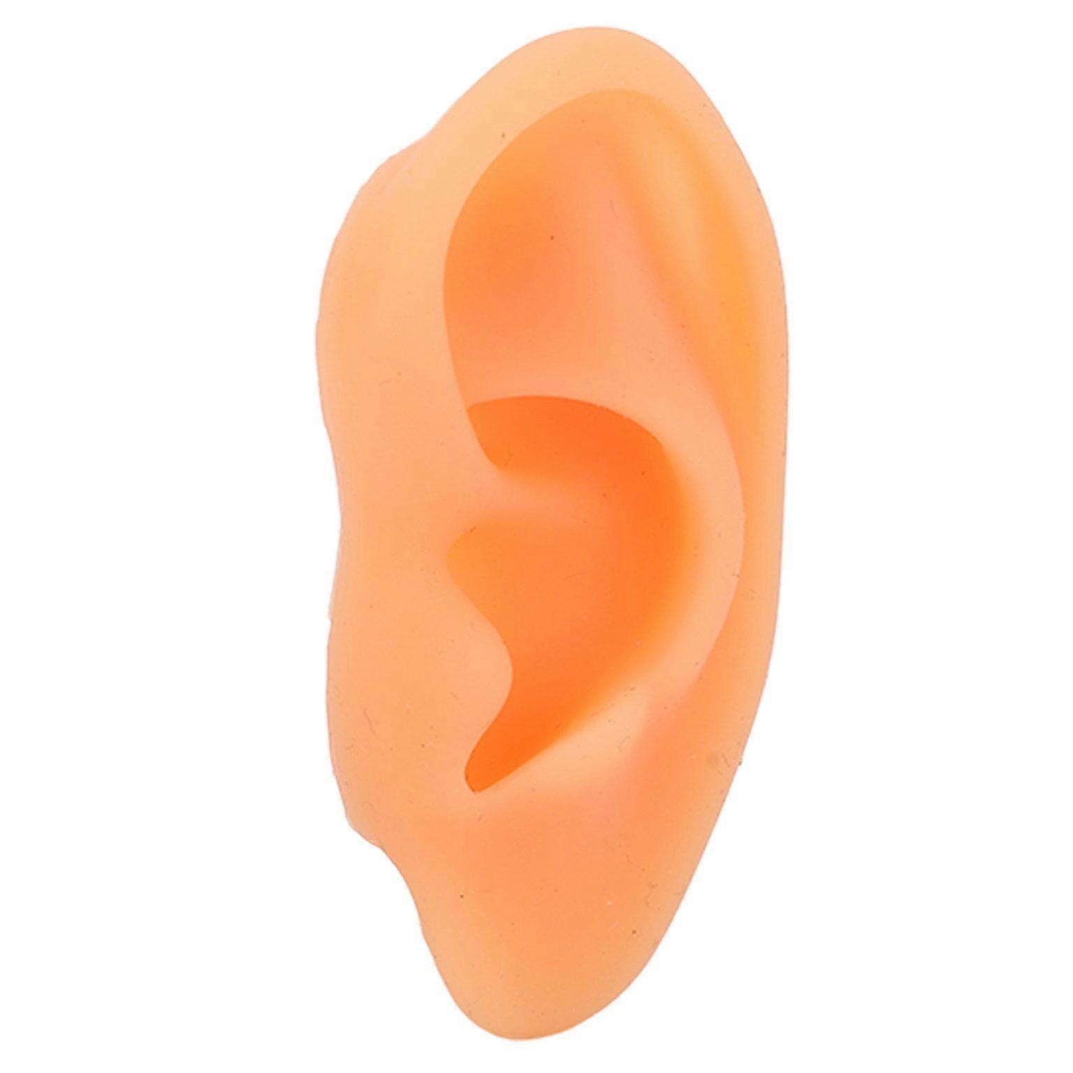 Realistic Soft Fake Ear Display Model
