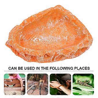 Tortoise Feeding Basin Resin Reptile Water Dish for Pet Use 5Pcs