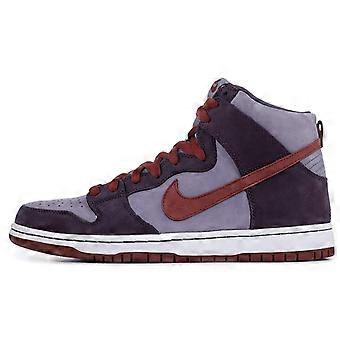 Nike Sb Dunk High Daybreak Plum 313171-500
