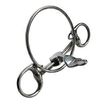 Horse Bit for Training with a Bridle, Combining Stainless Steel Construction, a Silver-Tone Finish, Circular Ends, and a Center Plate Assembly