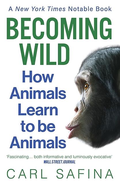 Becoming Wild by Carl Safina Paperback