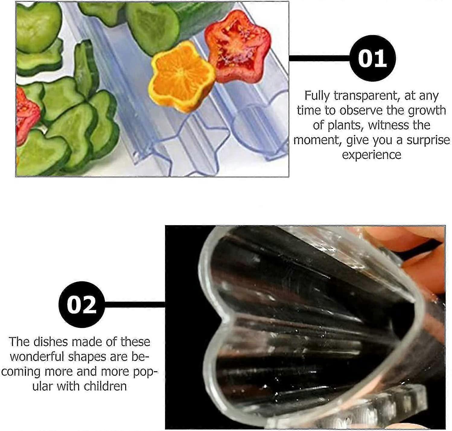 4pcs Cucumber Mould Transparent Vetable Fruit P Mould Observat