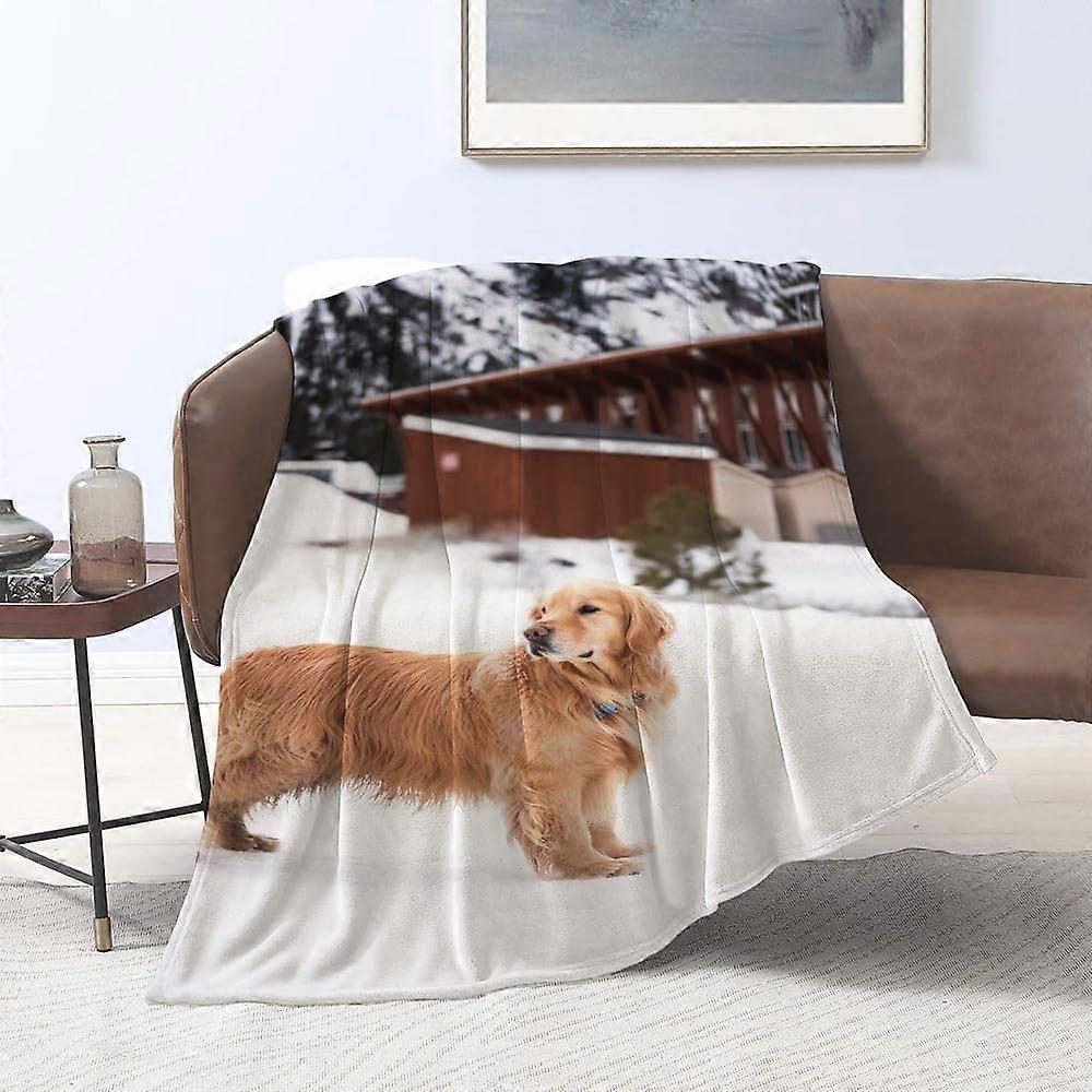 flanellfiltar, vinter golden retriever snö avlägsen sikt, plädar för soffa fluffig filt säng kasta f sovrum, soffa, sovrum tillbehör 51x59 i
