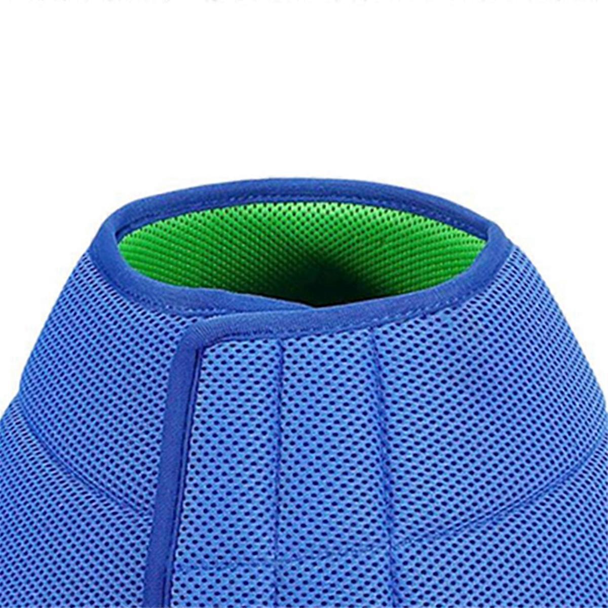 Dog Cone Collar Protective Wound S