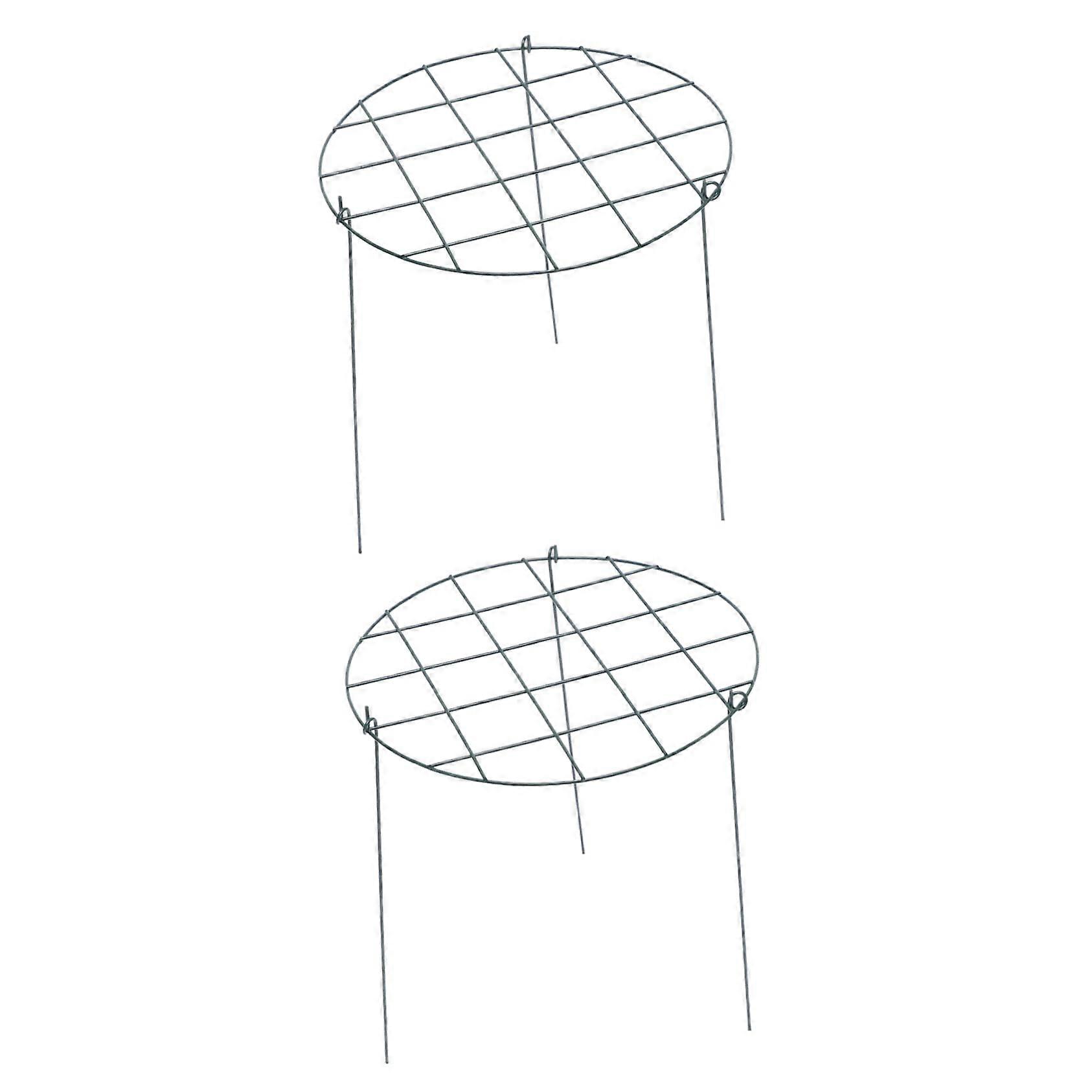 Garden Angle Climbing Stand Trellis for Plants, Sturdy for Tomatoes and Strawberries