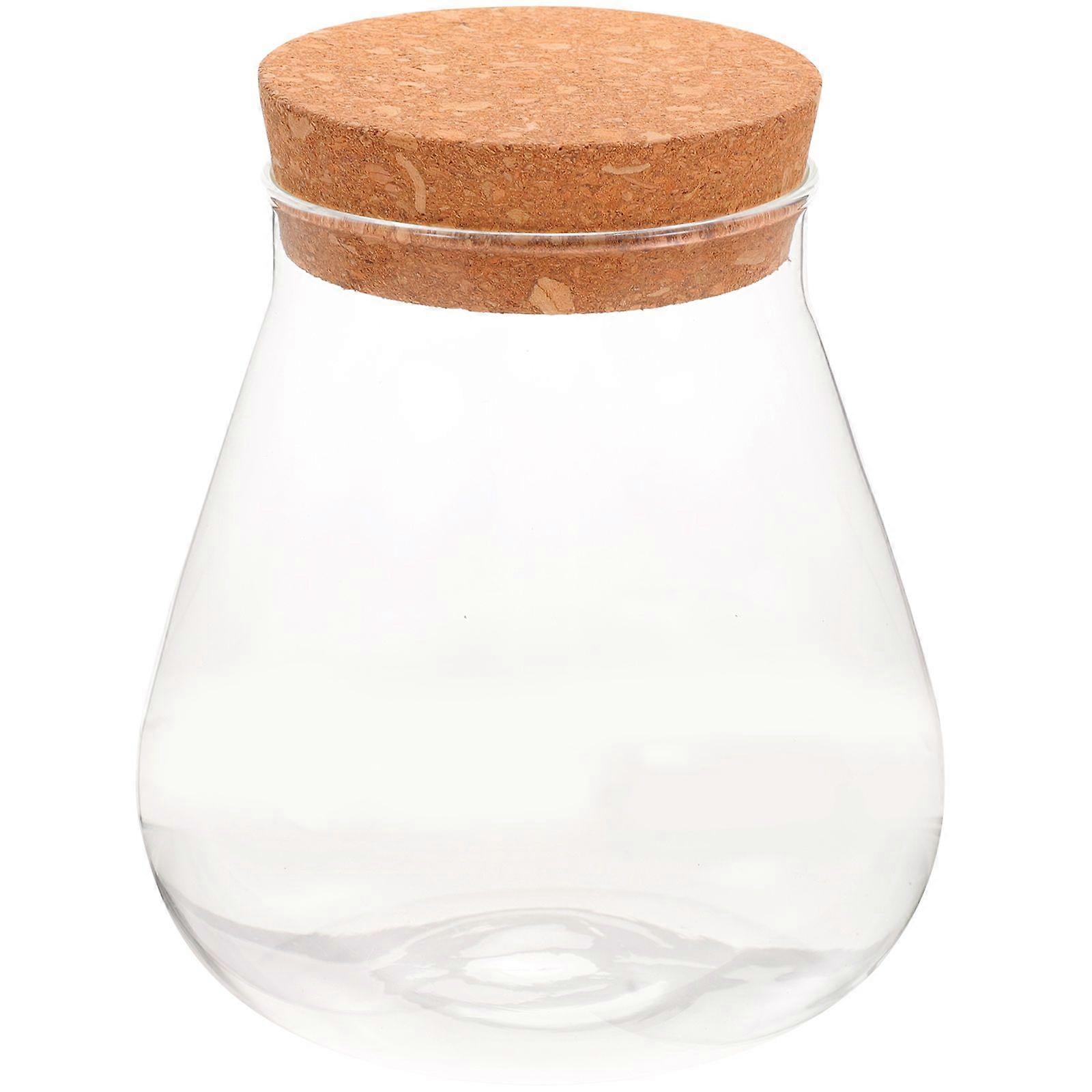 Empty Glass Jar Glass Bottle DIY Micro-landscape Bottle Durable Ecological Bottle