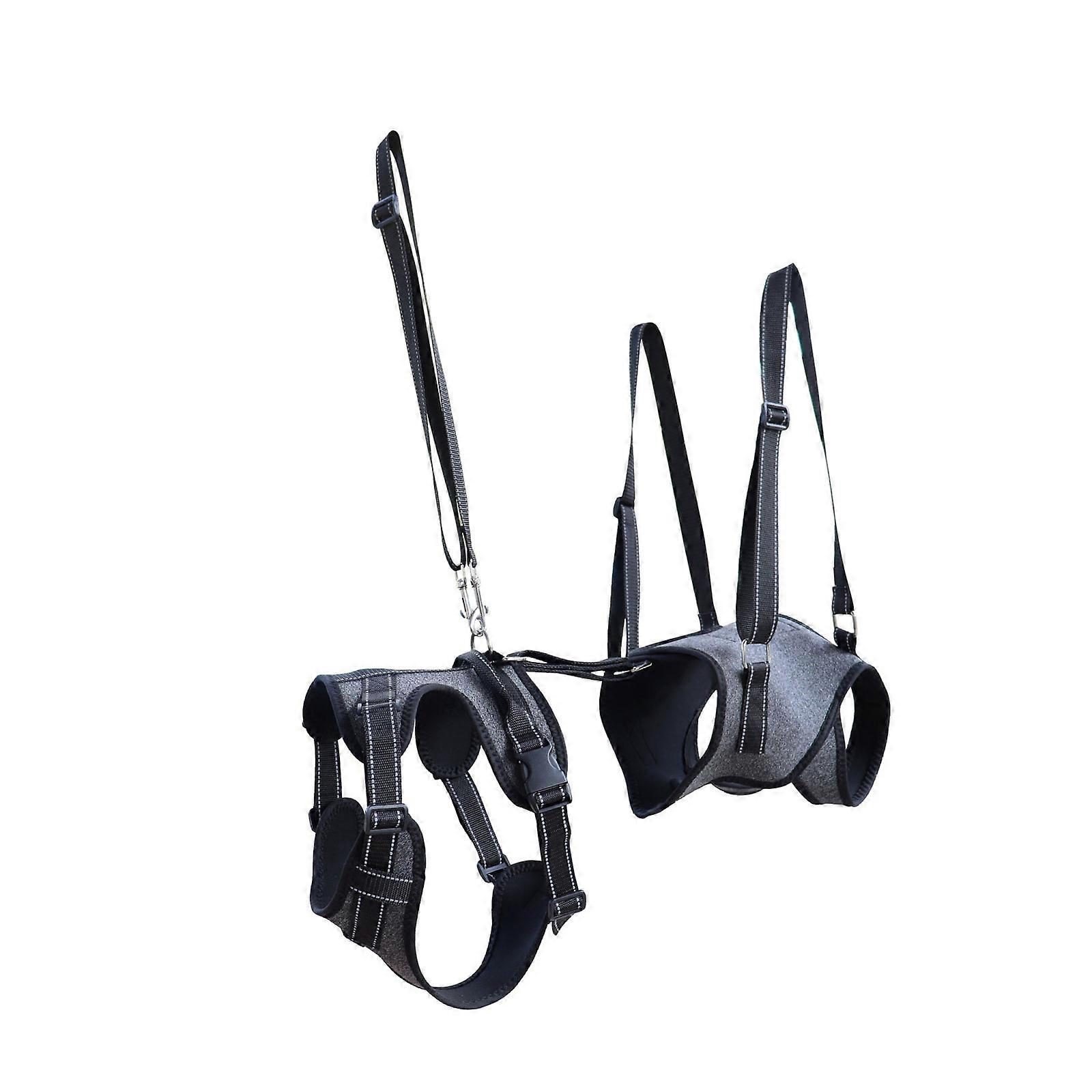 Supportive Dog Walking Exploit Senior Pets Weak Joints Assistance Solid Structure Padded Handle  XL